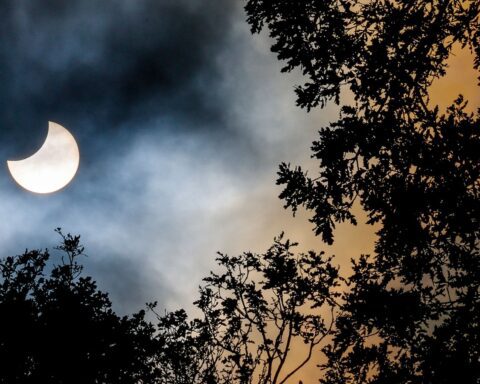 Partial solar eclipse