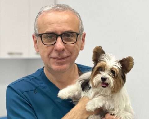 Aleksandre Kanashvili, Founder and Chief Veterinarian of Aibo Veterinary Clinic